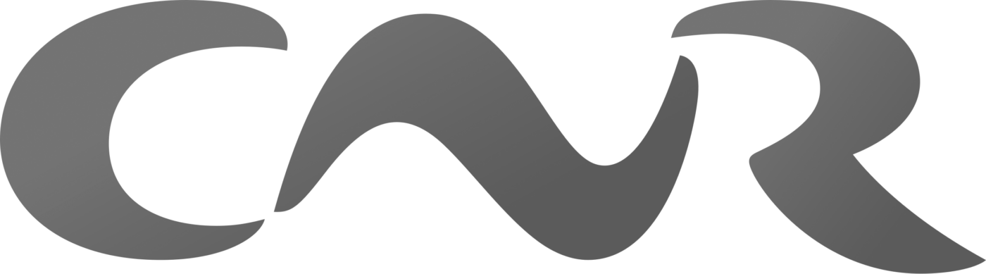 Logo du groupe CNR en gris sur fond transparent