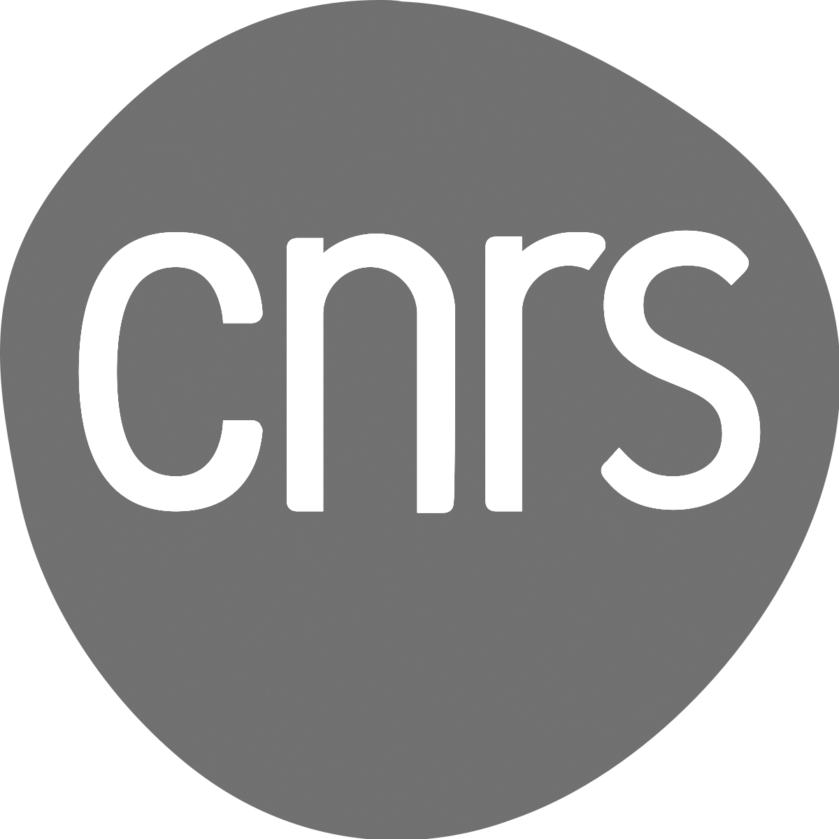 Logo du CNRS, gris, sur fond transparent pour illustrer les entreprises avec lesquelles Bertrand Perret travaille.