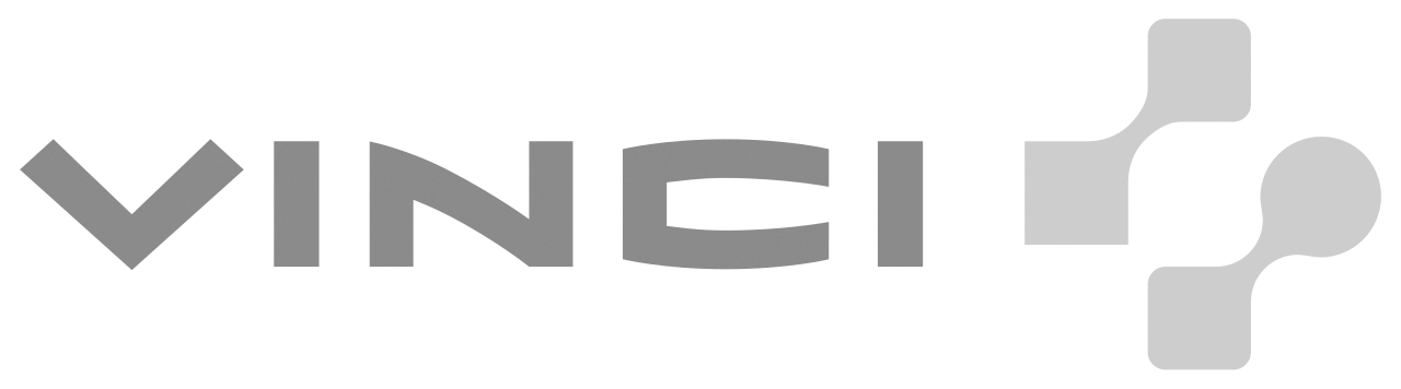 Logo de Vinci en gris sur fond transparent